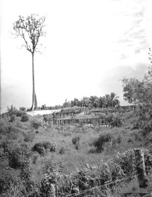 The Sandakan Death Marches